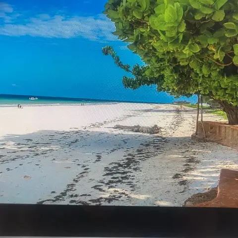 The white sand of Galu Beach curving along the shore