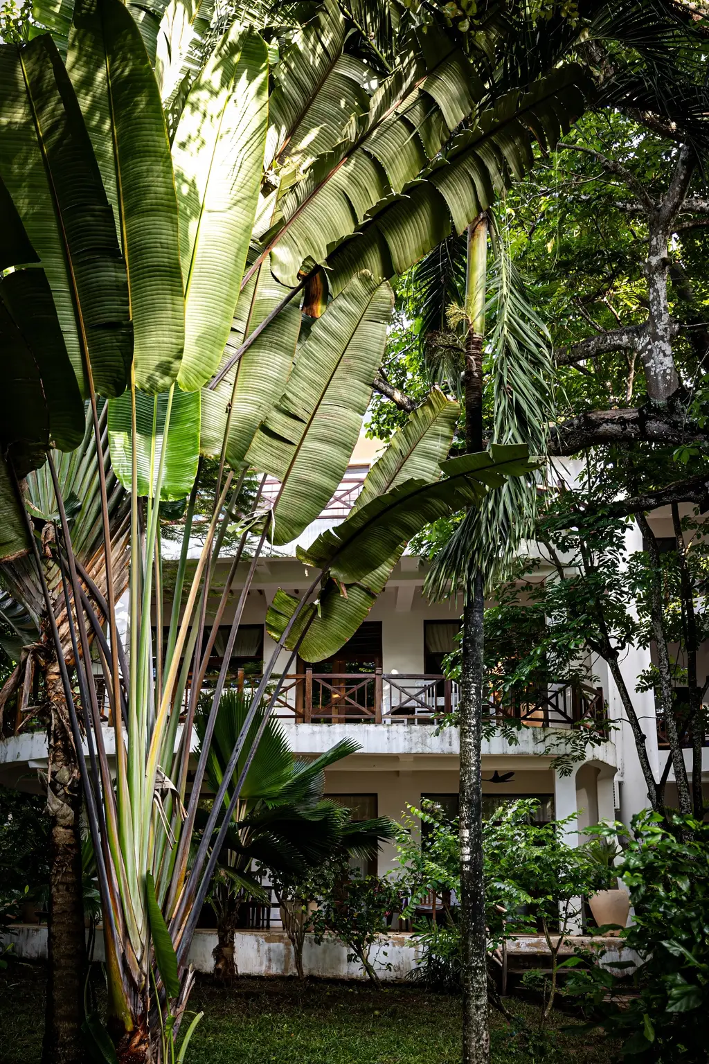 The apartment building wrapped in tropical gardens