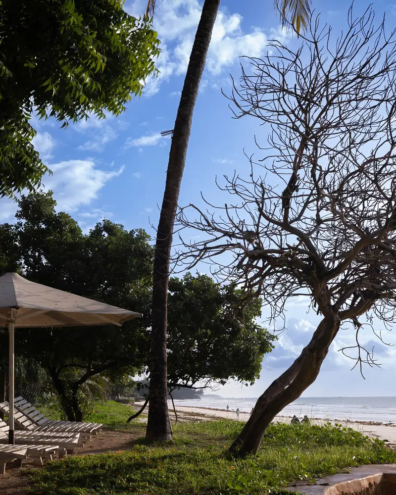 Galu Beach in front of the house, loungers under the trees