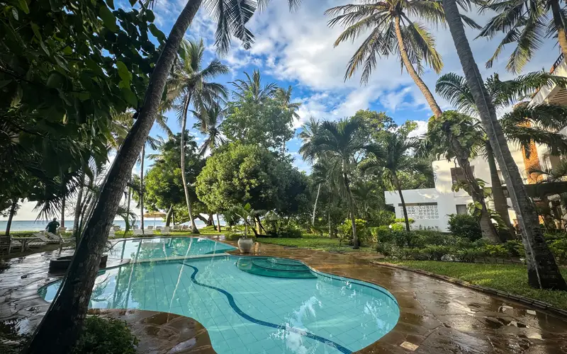 The pool set among palms and garden