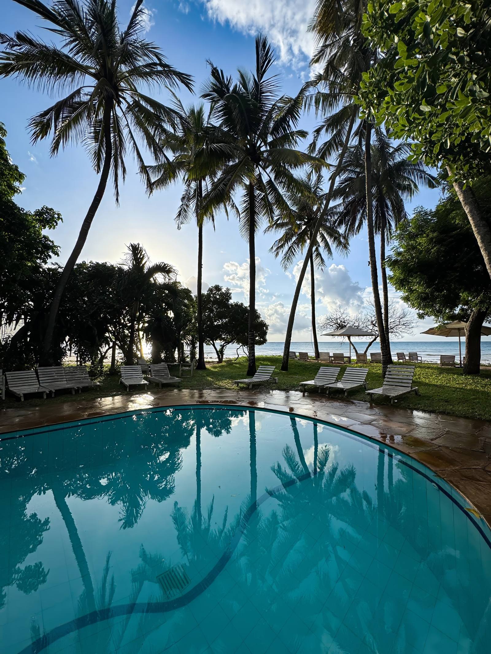 The shared pool at golden hour, palms and loungers beside the Indian Ocean